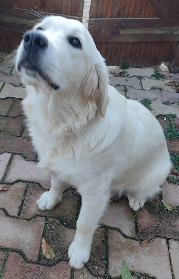 TAGADA (Sans Affixe)